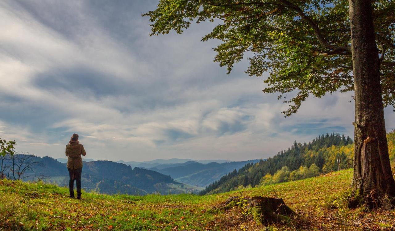 Ferienwohnung Mit Komfort Oberharmersbach Esterno foto