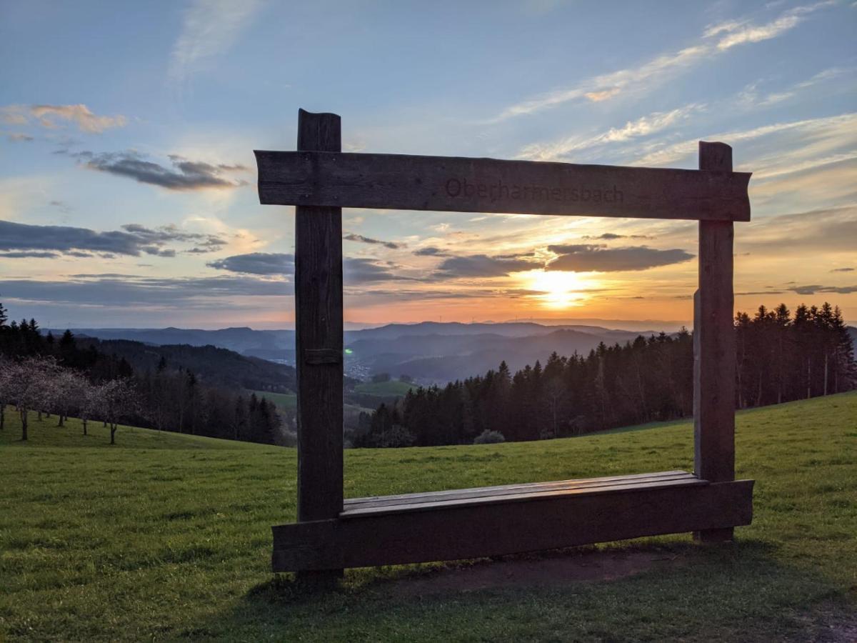 Ferienwohnung Mit Komfort Oberharmersbach Esterno foto