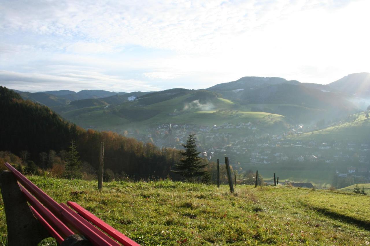 Ferienwohnung Mit Komfort Oberharmersbach Esterno foto