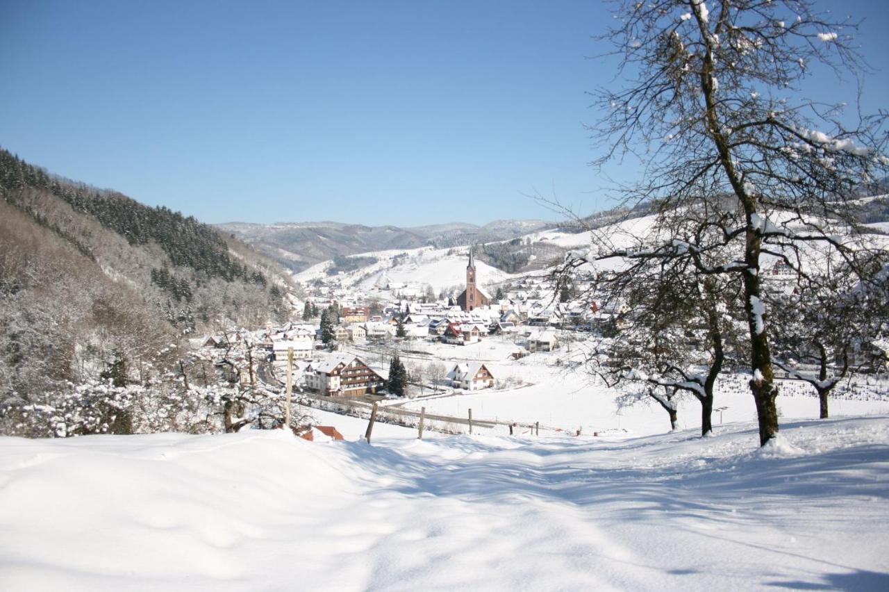 Ferienwohnung Mit Komfort Oberharmersbach Esterno foto