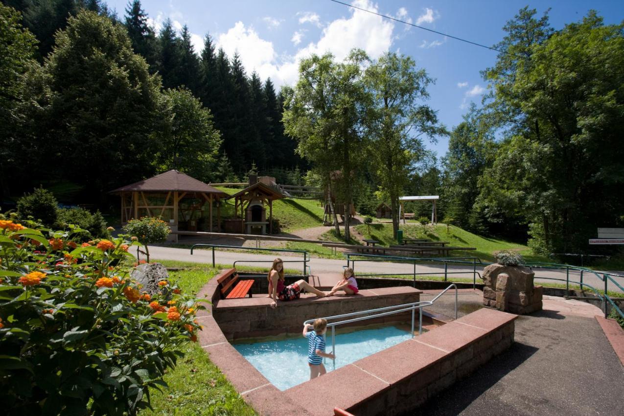 Ferienwohnung Mit Komfort Oberharmersbach Esterno foto