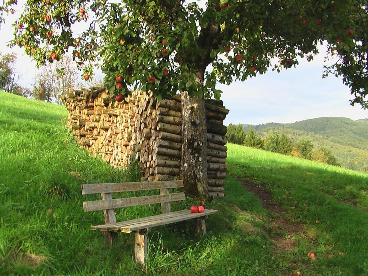 Ferienwohnung Mit Komfort Oberharmersbach Esterno foto