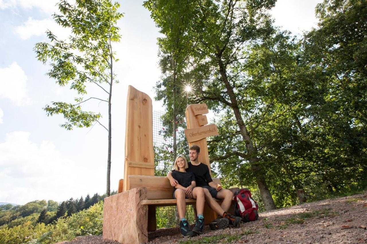 Ferienwohnung Mit Komfort Oberharmersbach Esterno foto