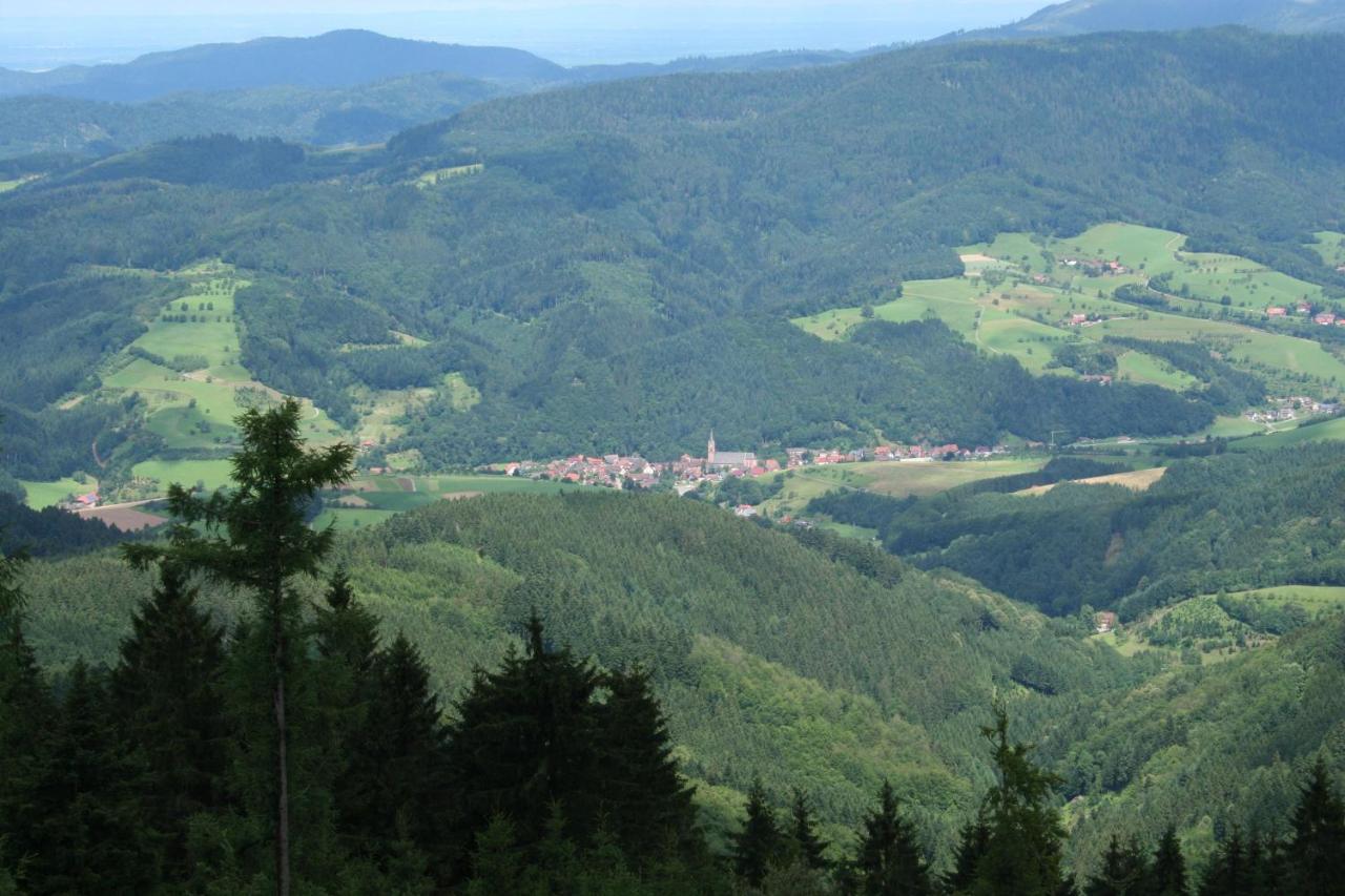 Ferienwohnung Mit Komfort Oberharmersbach Esterno foto