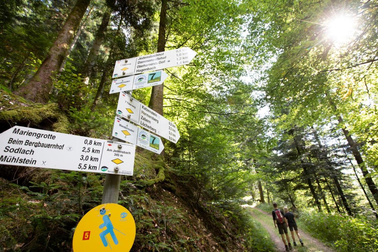 Ferienwohnung Mit Komfort Oberharmersbach Esterno foto